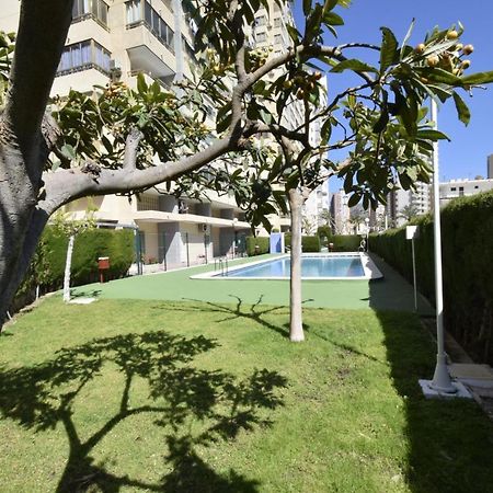Mariscal 4 - Fincas Arena Benidorm Ngoại thất bức ảnh